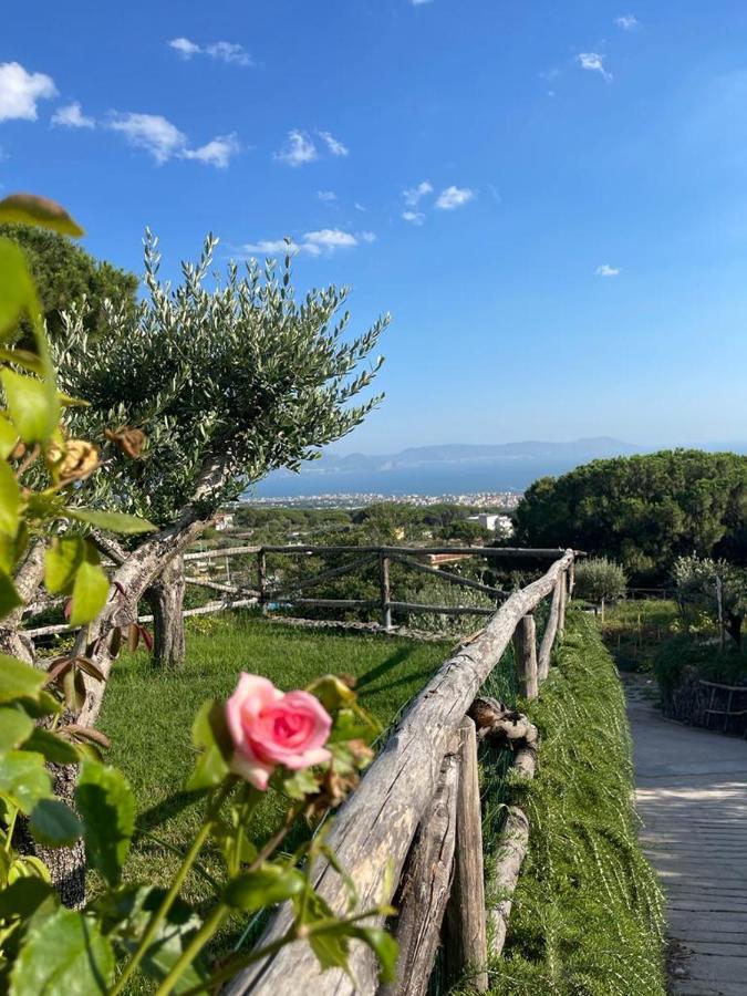 B&B Sunset Ercolano Exterior foto